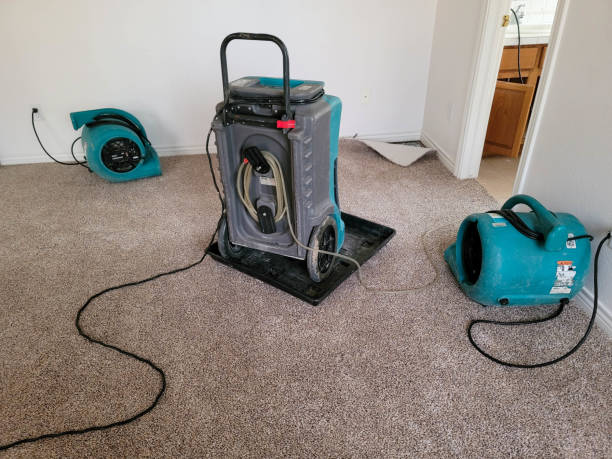 Best Flooded house restoration  in Ripley, MS