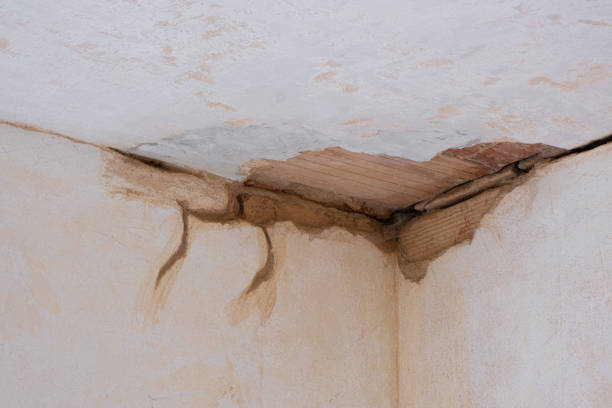 Best Water damage restoration process  in Ripley, MS