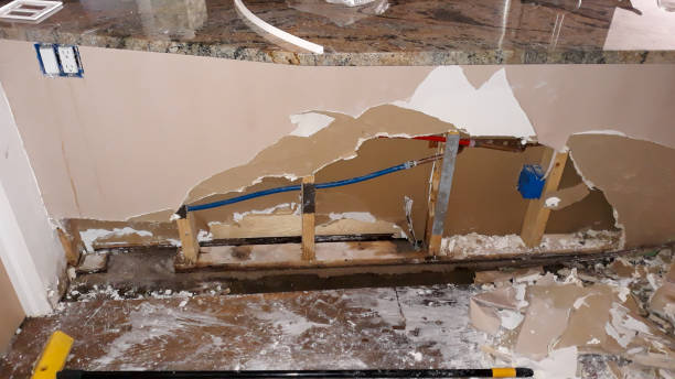Best Water damage restoration company  in Ripley, MS