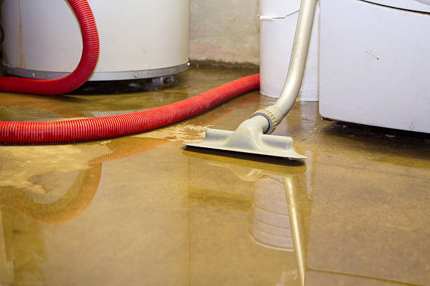 Best Residential water damage restoration  in Ripley, MS