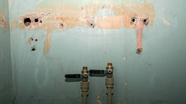 Best 24-hour water damage restoration  in Ripley, MS