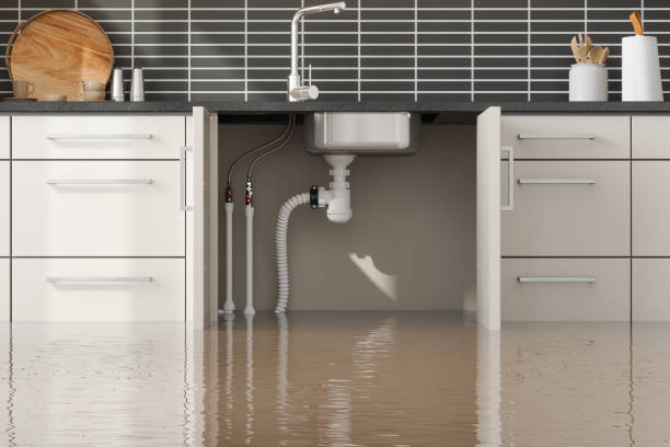 Best Sewage cleanup and water damage restoration  in Ripley, MS