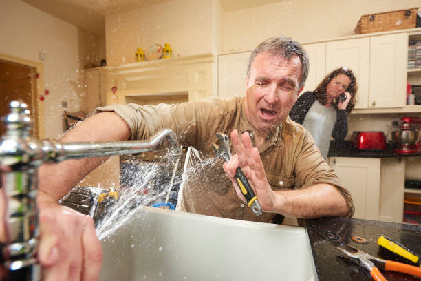 Best Water damage restoration near me  in Ripley, MS